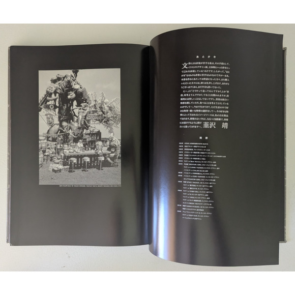 Nira Works Yasushi Nirasawa Artbook Fantasy Art Japan Hard Cover - Picture 5 of 10